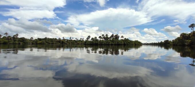 Sloth River Speedboat Tour - Lunch in Caburê