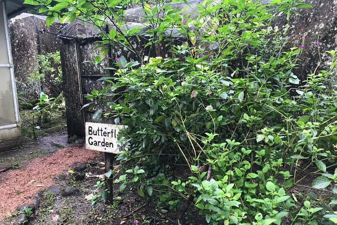 Sloth Tour and Wildlife Encounter - Booking Information