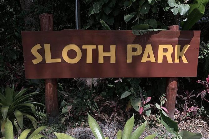 Sloth Watching Tour - Price and Cancellation Policy