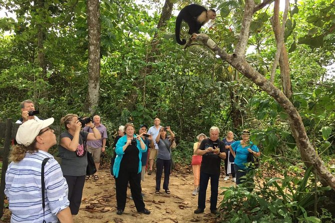 Sloths Lovers Tour. Puerto Limon Shore Excursion - Logistical Details