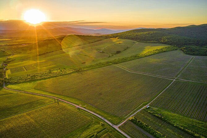 Slovak Tokaj Wine Tasting at Tokaj & CO - Booking Information