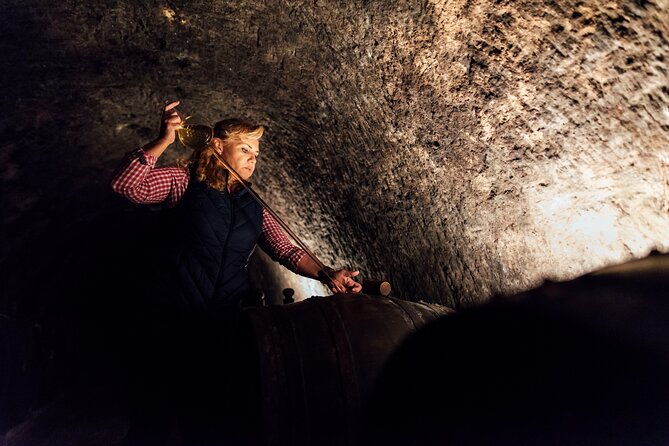 Slovak Tokaj Wine Tasting at Tokaj & CO - Accessibility and Participation