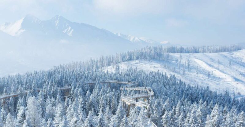 Slovakia: Treetop Walk & Thermal Baths From Krakow - Treetop Walk Experience