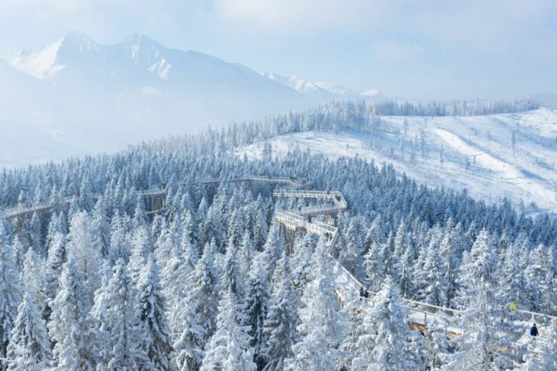 Slovakia: Treetop Walk & Thermal Baths From Krakow - What to Bring