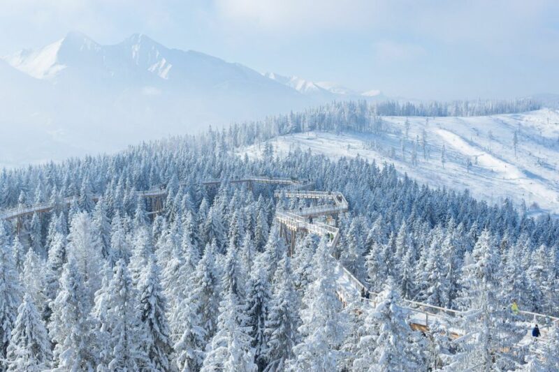 Slovakia: Treetop Walk & Thermal Baths From Krakow - Key Points