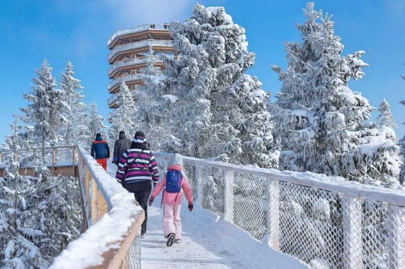 Slovakia: Treetop Walk & Thermal Baths From Krakow - Exploring the Treetop Walk