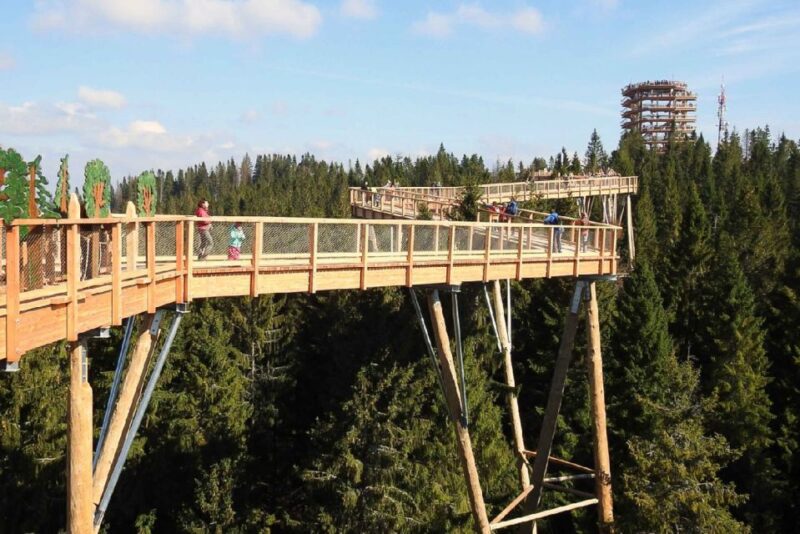 Slovakia: Treetop Walk & Thermal Baths From Krakow - Facilities and Attractions