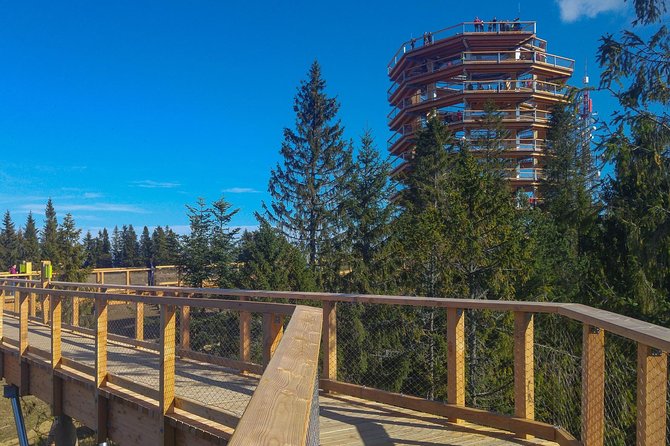 Slovakia Treetop Walk, Zakopane & Thermal SPA From Krakow - About Your Stay