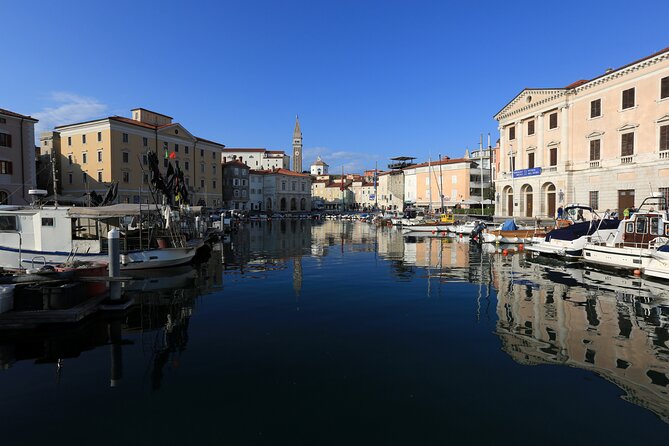 Slovenian Coast Koper, Izola, Piran - Parenzana Electric Biking Tour From Koper - Route Highlights and Stops