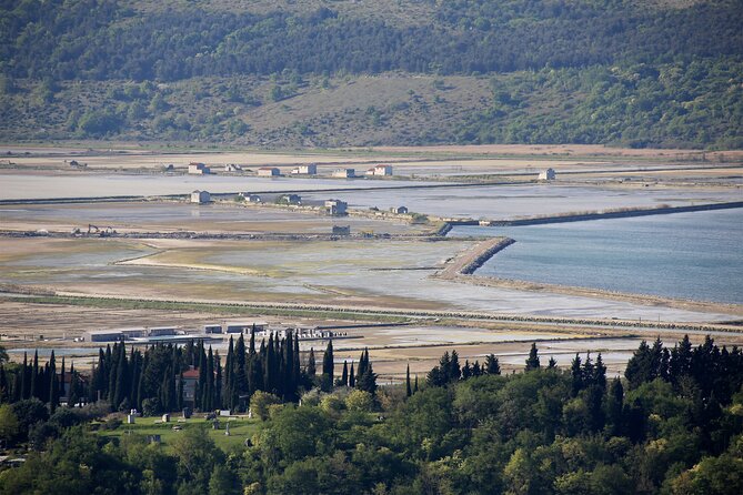 Slovenian Coast Koper, Izola, Piran - Parenzana Electric Biking Tour From Koper - Group Size and Experience