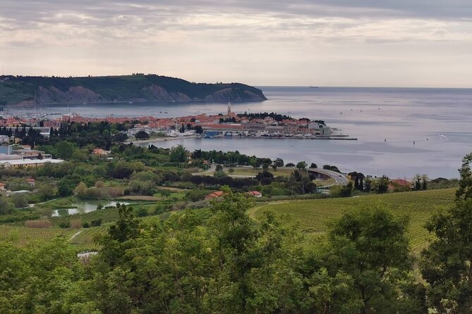 Slovenian Coast Koper, Izola, Piran - Parenzana Electric Biking Tour From Koper - Cancellation Policy and Reviews