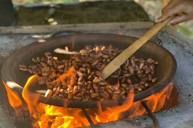 Slow Travel From Quito to Cuyabeno Amazon - Inclusions and Costs