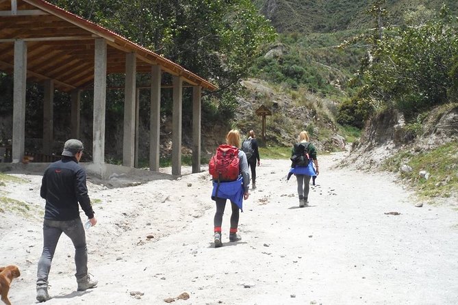 Slow Travel Through Cotopaxi, Quilotoa, Banos and Amazon Rainforest - Trekking Through the Amazon Rainforest