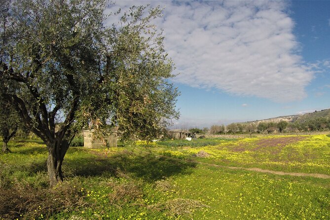Slow Wine & Tartufo Gelato Tasting Experience - Private Transportation