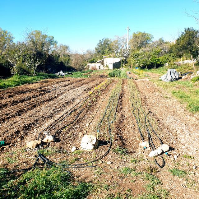 Slowlife Family Farm: From Garden to Table - Customer Praise and Desire to Return