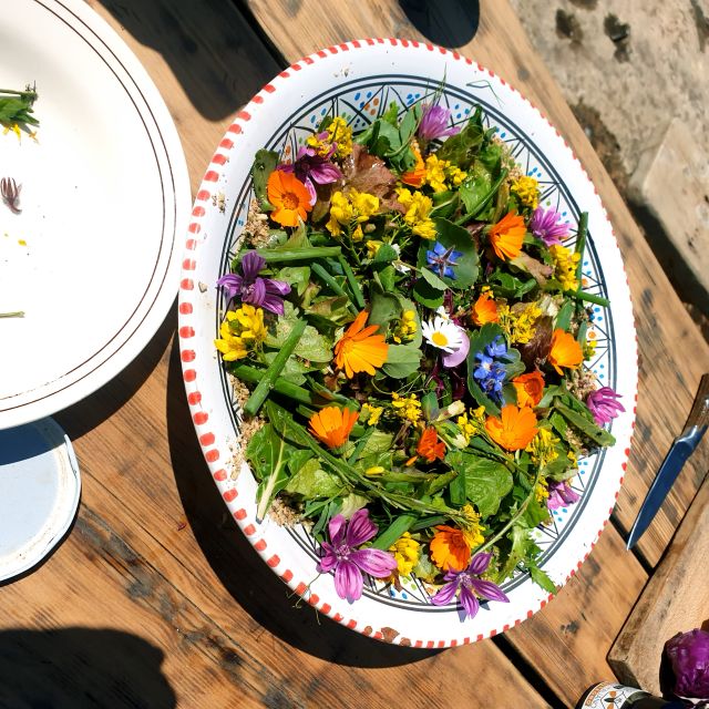 Slowlife Family Farm: From Garden to Table - Frequently Asked Questions
