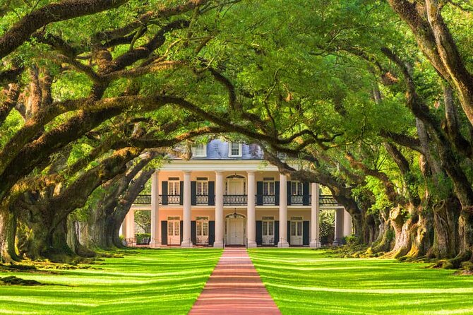 Small Airboat and Oak Alley Plantation Tour From New Orleans - Inclusions and Logistics