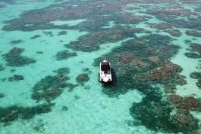 Small Day Cruise (Ilet Caret, Mangrove, Coral Reef - Memorable Experience in Guadeloupe