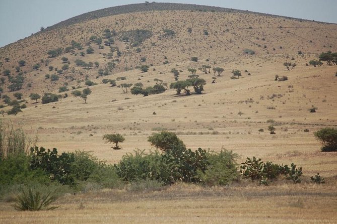 Small Desert in 4x4 - Key Points