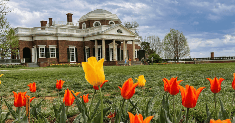 Small Group 1-Day Tour: DC to Thomas Jefferson's Monticello - Travel Route and Conditions