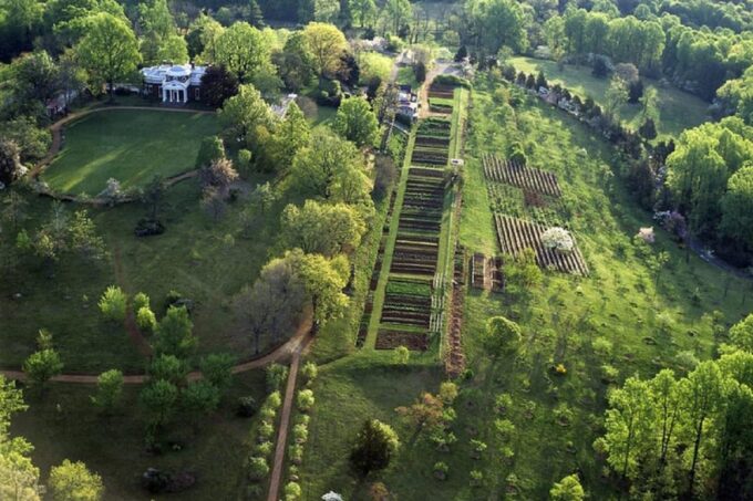 Small Group 1-Day Tour: DC to Thomas Jefferson's Monticello - Customer Feedback