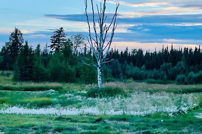 Small Group 18-hole Golf Experience in Fairbanks - Menu Options and Dining