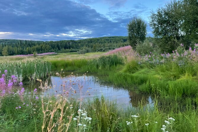 Small Group 18-hole Golf Experience in Fairbanks - Booking and Confirmation