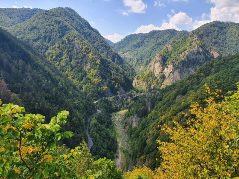 Small Group 2 Days in Transylvania - Overnight Sighisoara - Day 2 Activities