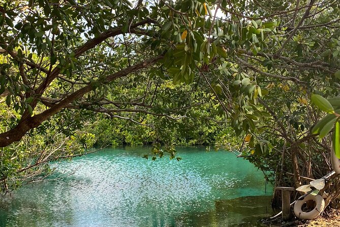 Small-Group 3 Cenotes Adventure Tour - Explore 3 Distinctive Cenotes