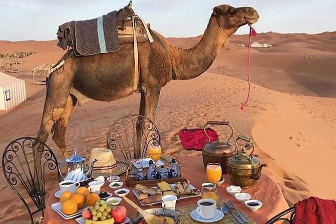 Small Group 3-Days Fez to Marrakech Desert Tour - Vehicle and Amenities