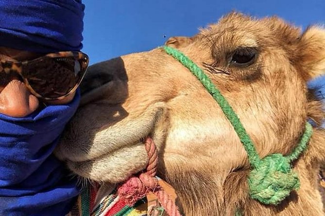 Small Group 3-Days Fez to Marrakech Desert Tour - Tour Logistics