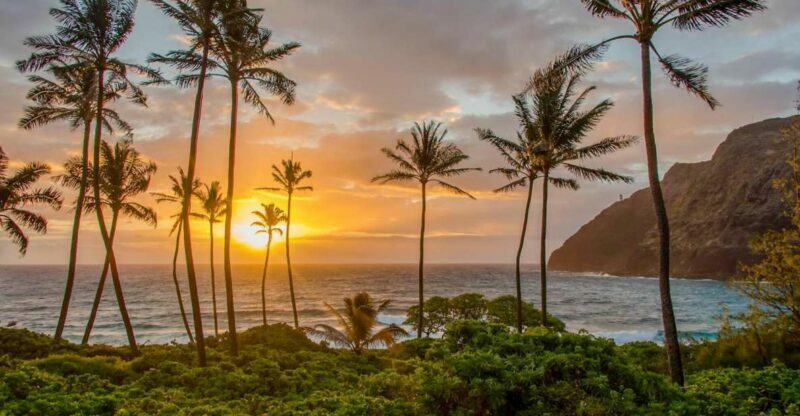 Small Group 3 Hour Honolulu Sunrise Tour with Malasadas - Additional Information