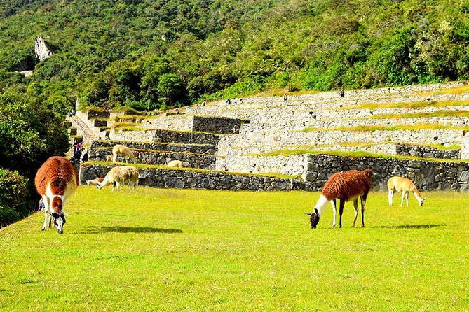 Small Group: 4-Day Inca Trail Trek to Machu Picchu - Arriving at the Iconic Machu Picchu