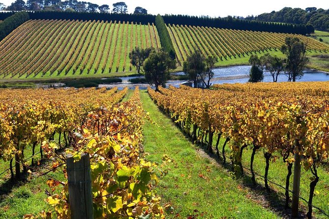 Small Group 6 Guests: Ultimate Mornington Peninsula Food and Wine - Boutique Wineries Exploration