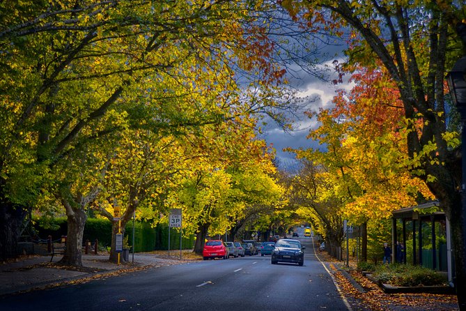 Small Group Adelaide Hills and Hahndorf Hideaway Tour From Adelaide - Tour Details
