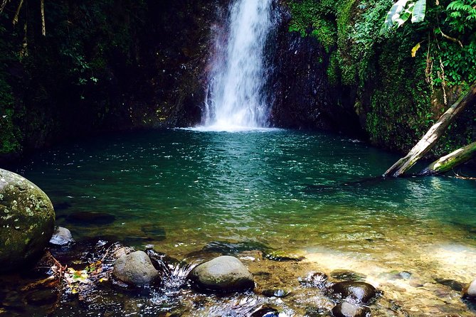 Small-Group Adventure Trek in Grand Etang National Park - Wildlife Spotting Opportunities