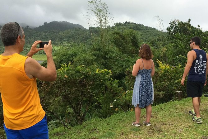 Small-Group Adventure Trek in Grand Etang National Park - Who This Trek Is for