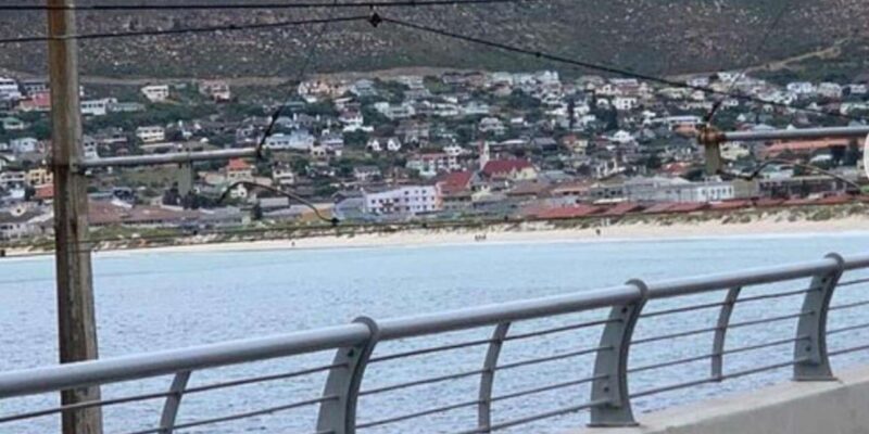 Small Group: African Penguins,Boulders Beach-Half-Day Tour. - Itinerary and Highlights