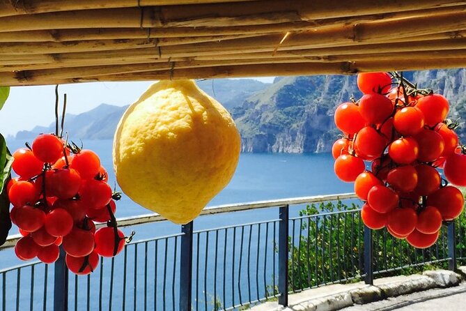 Small Group Amalfi Coast Tour From Sorrento in a Mercedes Van - Public Transportation and Inquiries