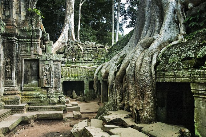 Small Group Angkor Wat Day Tour - Health and Accessibility Requirements