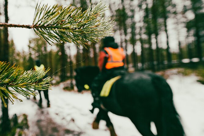 Small-Group Arctic Circle Horse Riding From Rovaniemi - Inclusions