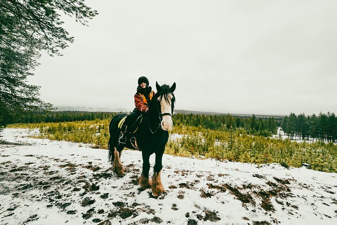 Small-Group Arctic Circle Horse Riding From Rovaniemi - Pick-up Details