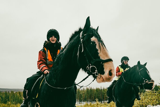 Small-Group Arctic Circle Horse Riding From Rovaniemi - Winter Clothing Provided
