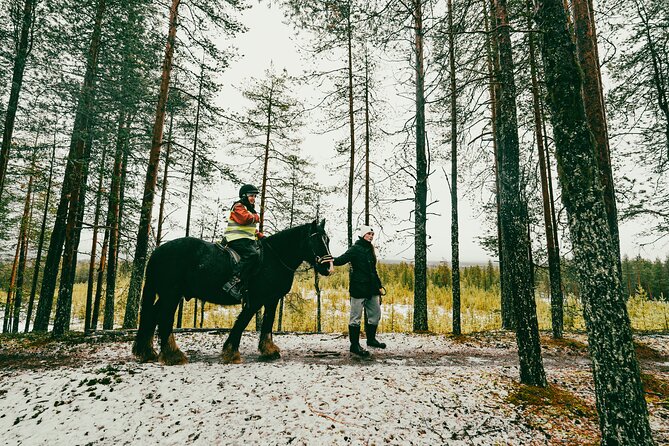 Small-Group Arctic Circle Horse Riding From Rovaniemi - English-Speaking Guide