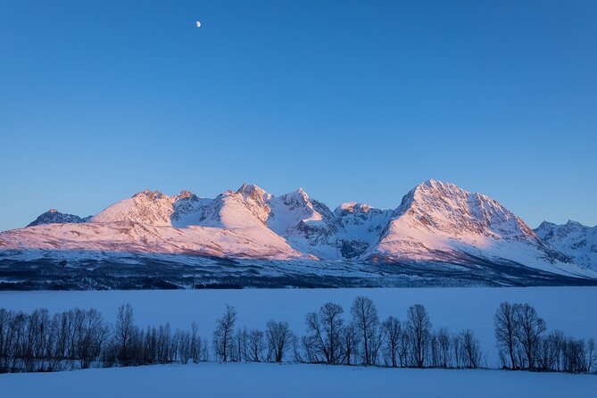 Small Group, Arctic Landscape Blue Day Tour With Creative Vacations - Schedule and Accessibility