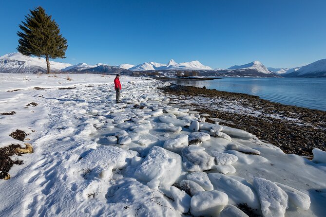 Small Group, Arctic Landscape Blue Day Tour With Creative Vacations - Pricing Information