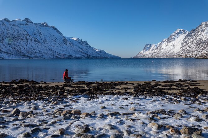 Small Group, Arctic Landscape Blue Day Tour With Creative Vacations - Booking Process