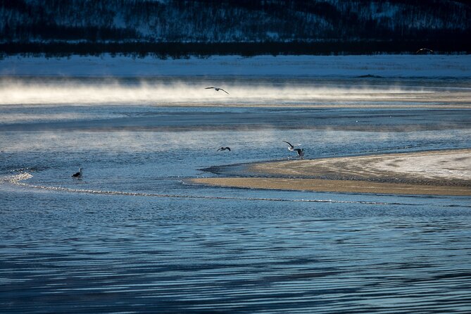 Small Group, Arctic Landscape Blue Day Tour With Creative Vacations - Customer Reviews