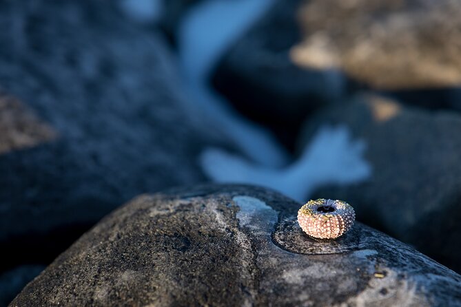 Small Group, Arctic Landscape Blue Day Tour With Creative Vacations - Tips for Photographers