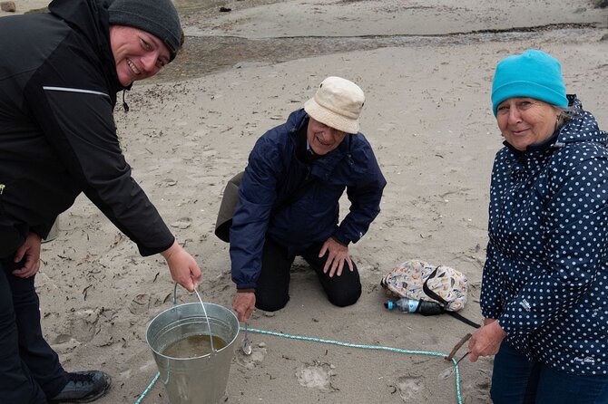 Small-group Arctic Landscapes Sightseeing - With Citizen Science - From Tromso - Picturesque Small Villages Along the Way
